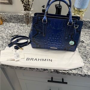 Brahmin small finley